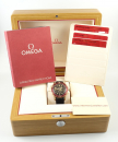 Preview: Omega Seamaster Diver 300 M Bronze-Gold 42MM 210.92.42.20.01.003